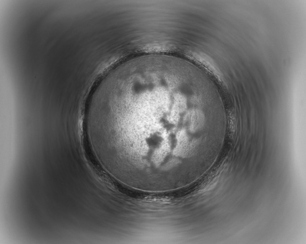 X0000096950491200802221325