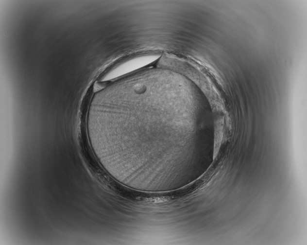 X0000096950492200802221325