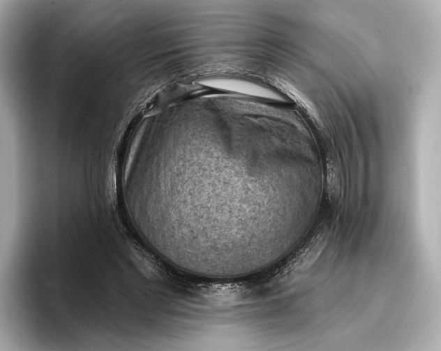 X0000096950493200802221325