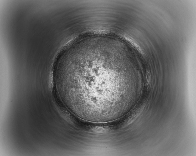 X0000096950494200802221325