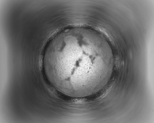 X0000096950495200802221325