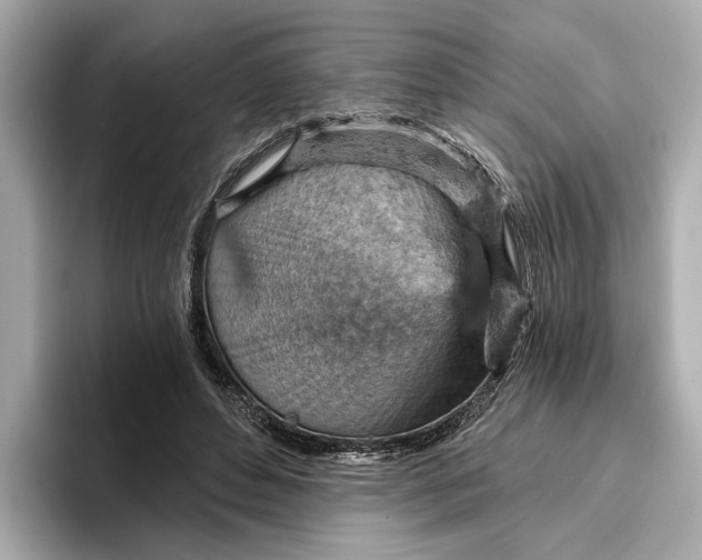 X0000096950496200802221325