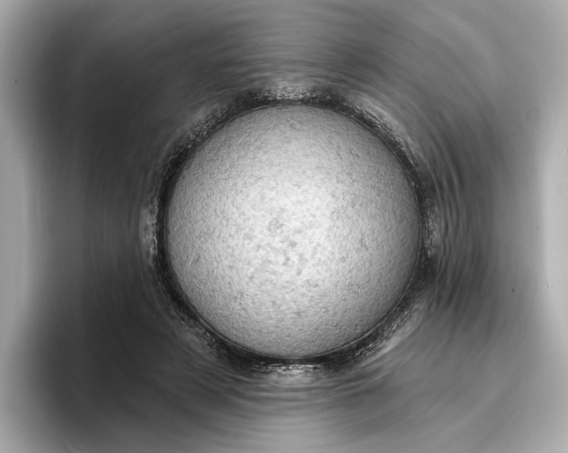 X0000096950497200802221325