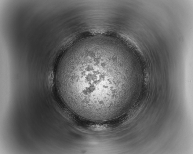 X0000096950498200802221325