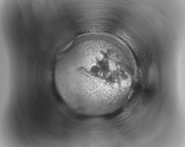 X0000096950499200802221325