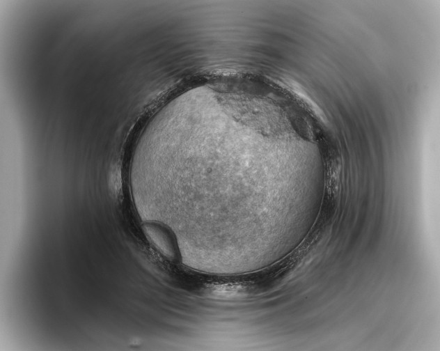 X0000096950500200802221325