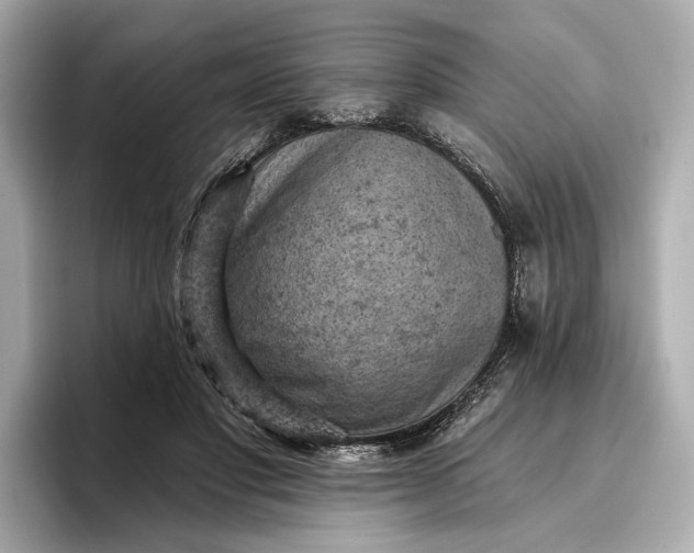 X0000096950501200802221325