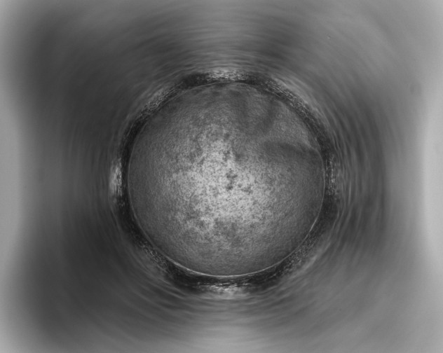 X0000096950502200802221325