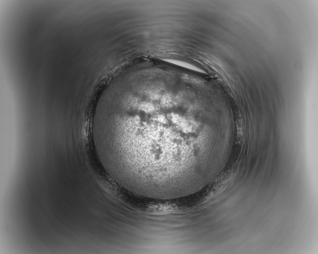 X0000096950503200802221325