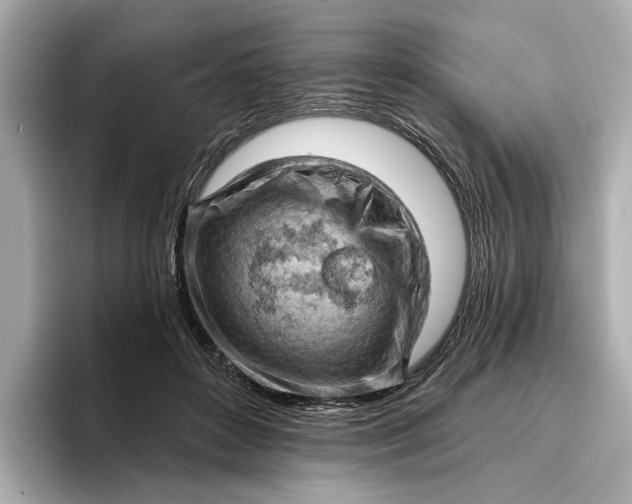 X0000096950504200802221325