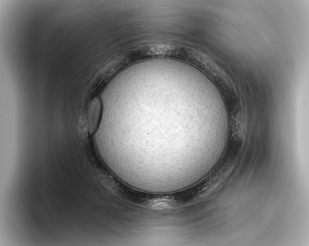 X0000096950505200802221325