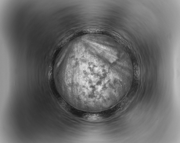 X0000096950507200802221325