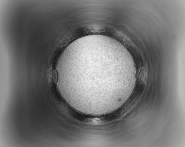 X0000096950509200802221325