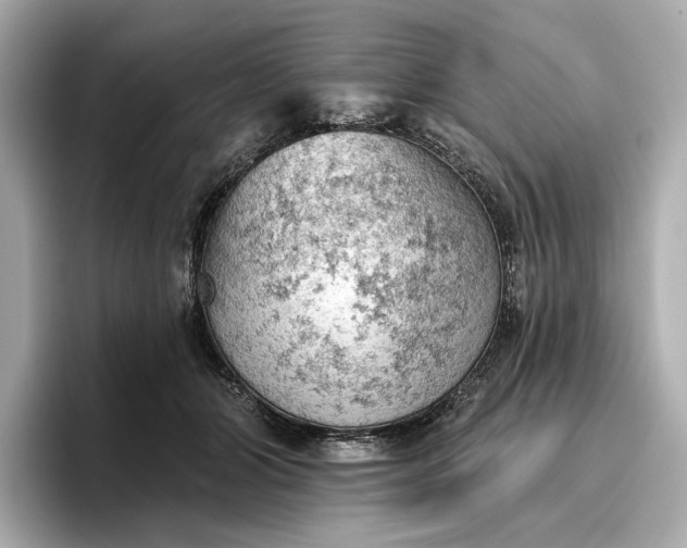 X0000096950510200802221325