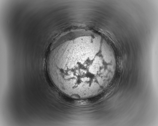 X0000096950511200802221325