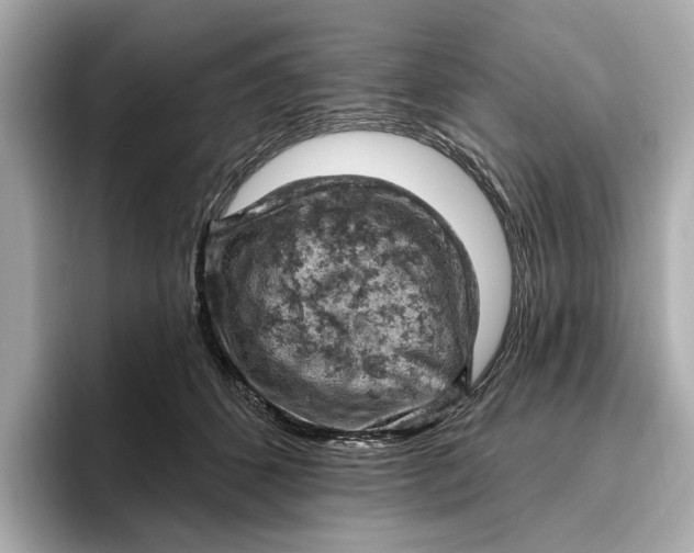 X0000096950512200802221325