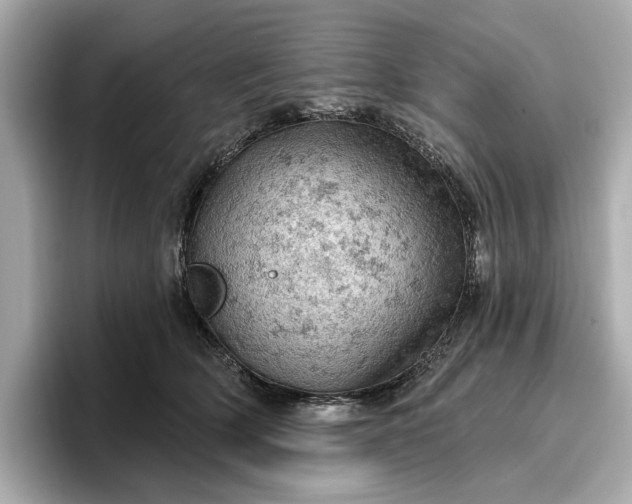 X0000096950514200802221325