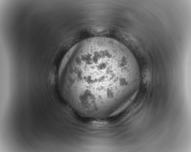X0000096950515200802221325