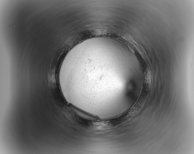 X0000096950516200802221325