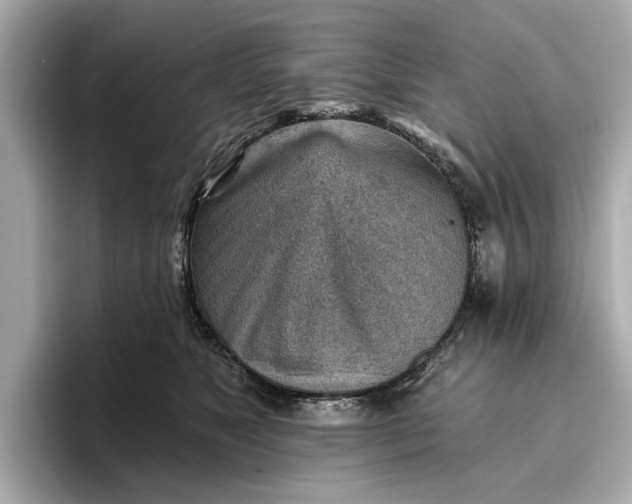 X0000096950517200802221325
