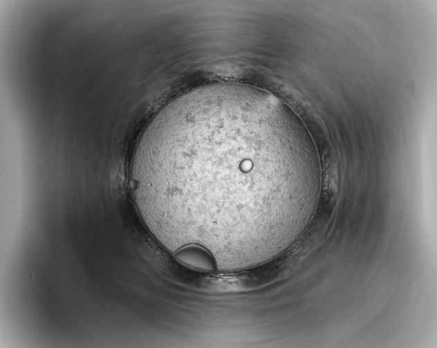X0000096950518200802221325