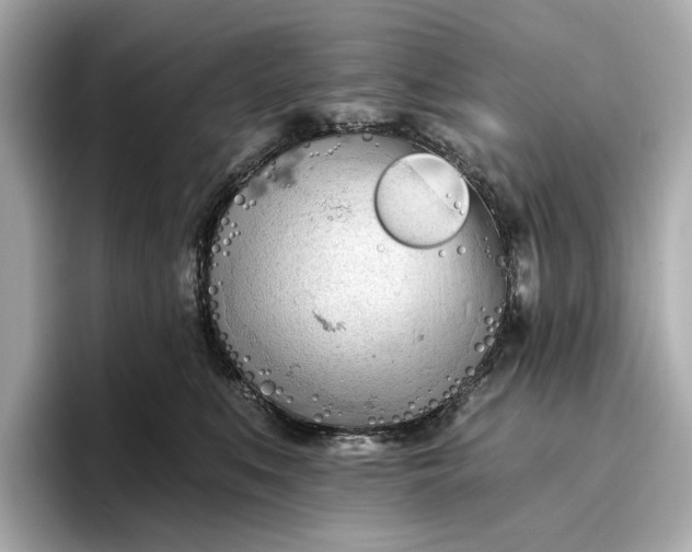 X0000096950519200802221325