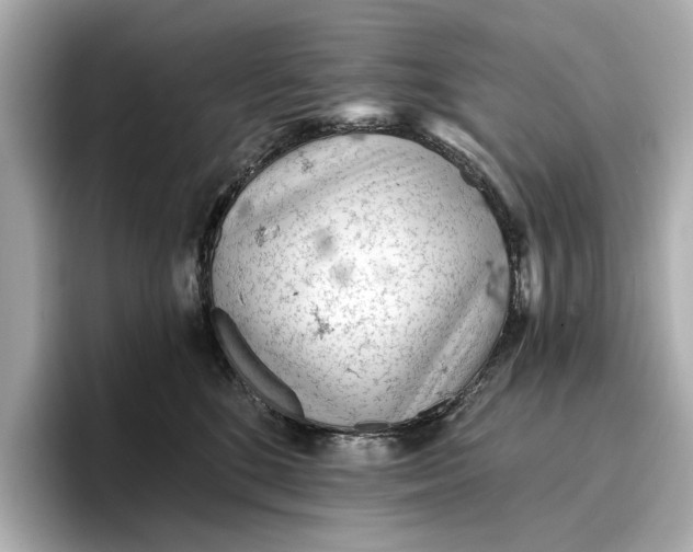 X0000096950520200802221325
