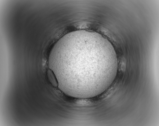 X0000096950521200802221325