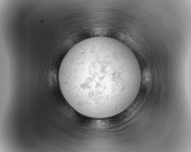 X0000096950522200802221325