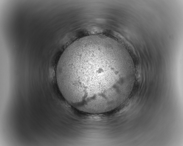 X0000096950523200802221325