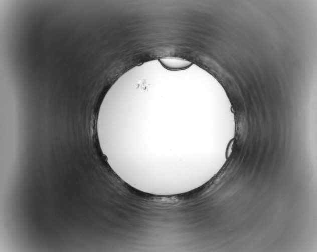 X0000096950525200802221324