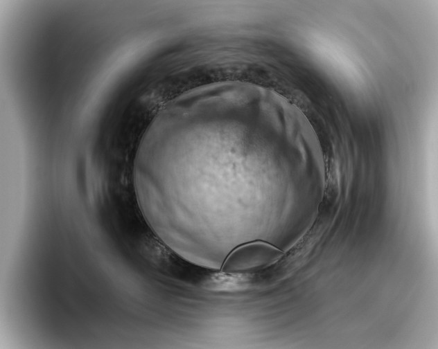 X0000096950526200802221324
