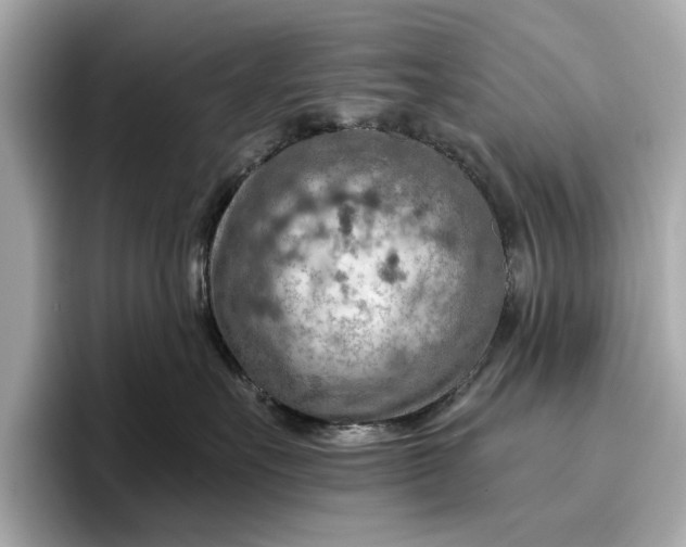 X0000096950527200802221324