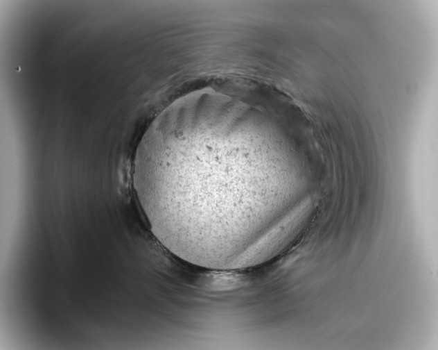 X0000096950528200802221324