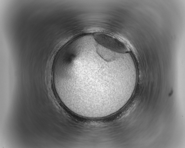 X0000096950529200802221324