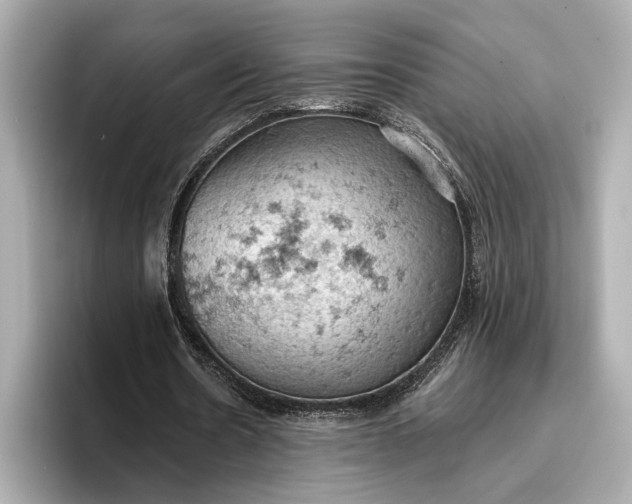 X0000096950530200802221324
