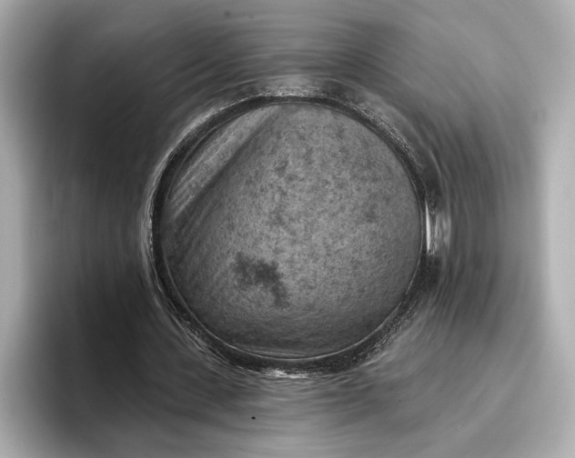 X0000096950531200802221324