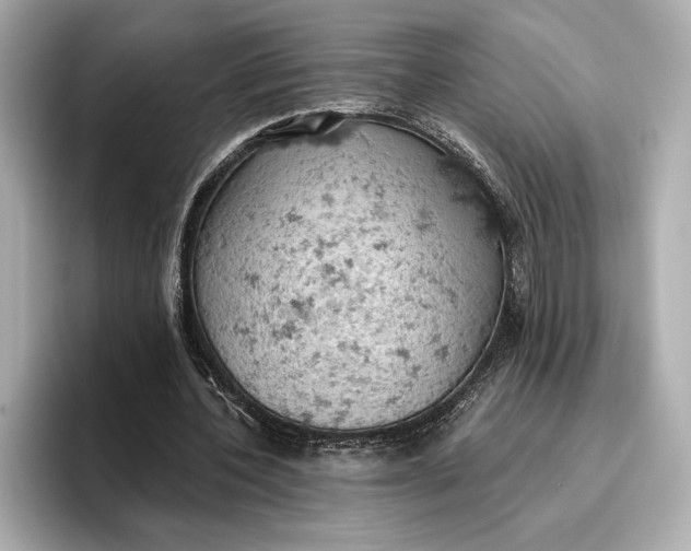 X0000096950532200802221324