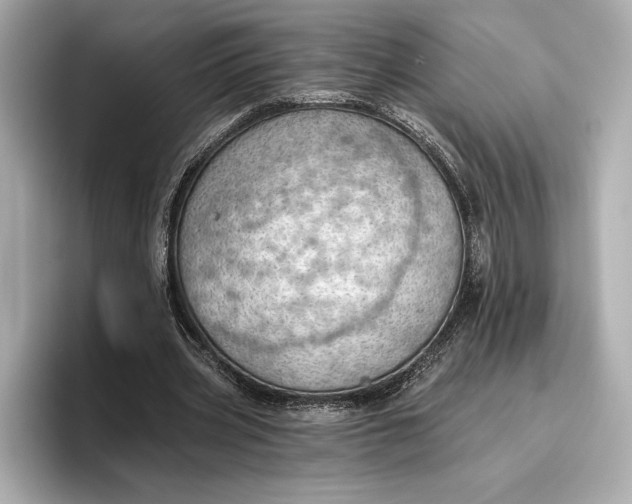 X0000096950533200802221324