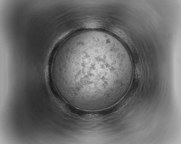 X0000096950535200802221324