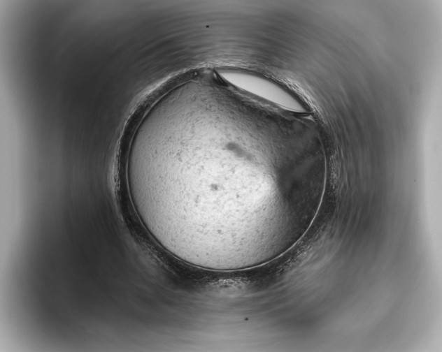 X0000096950536200802221324