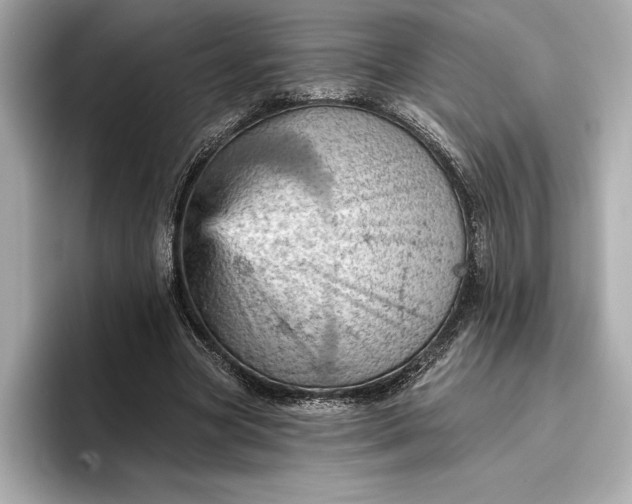X0000096950537200802221324