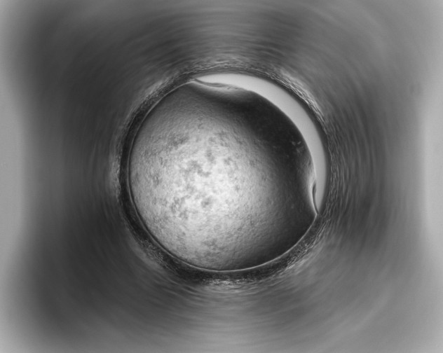 X0000096950538200802221324