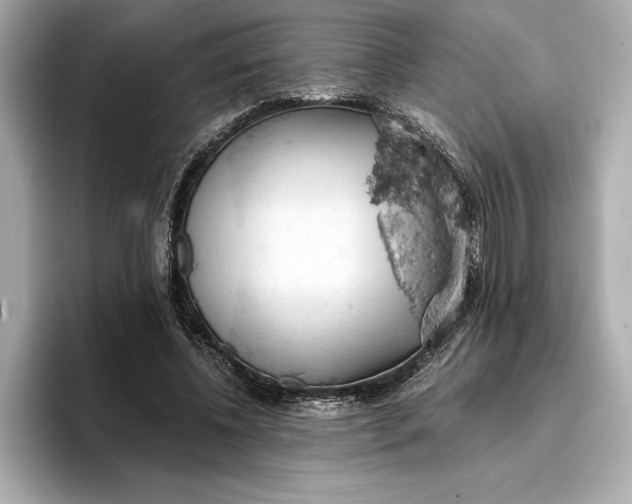 X0000096950540200802221324