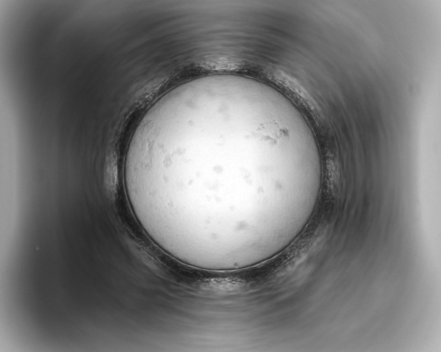 X0000096950541200802221324