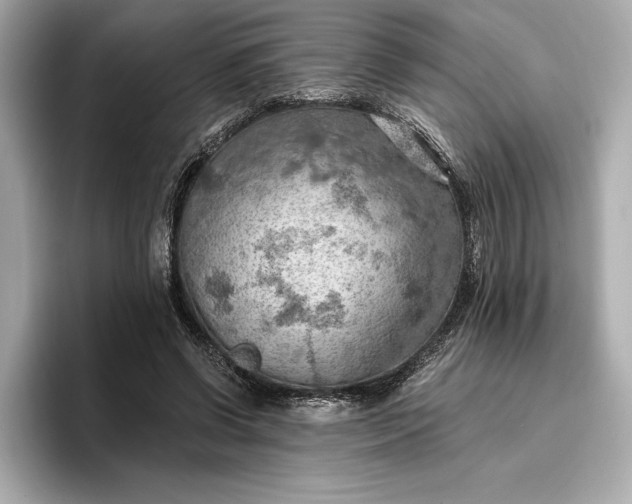 X0000096950542200802221324
