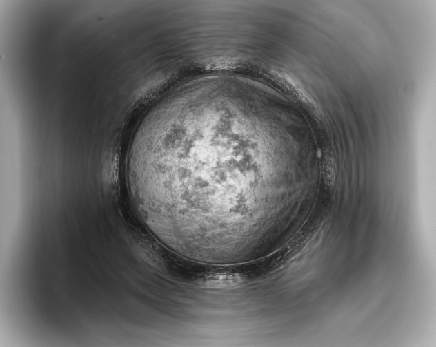 X0000096950543200802221324