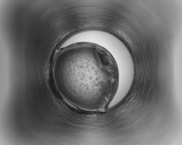 X0000096950544200802221324