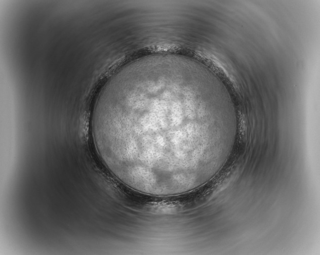 X0000096950545200802221324
