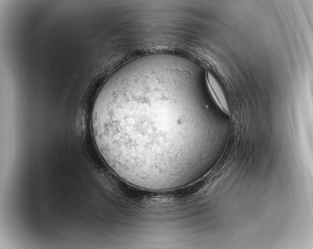 X0000096950546200802221324